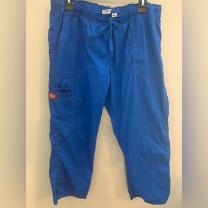 Women’s Dickies Xlarge Petite cargo scrub pants